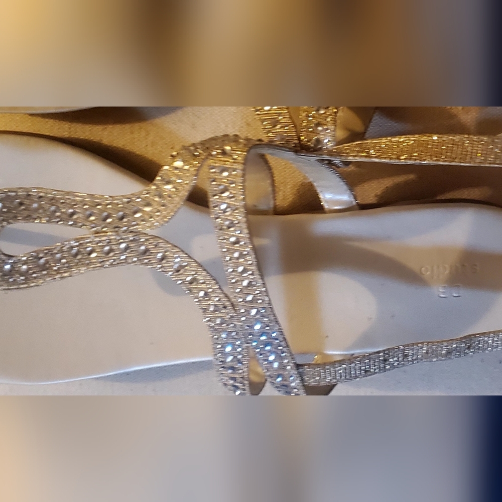 BRAND NEW with Tags  shimmering flats with adjustable buckle back